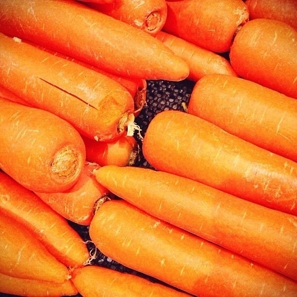 Carrots