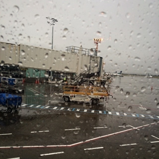 raining in Auckland