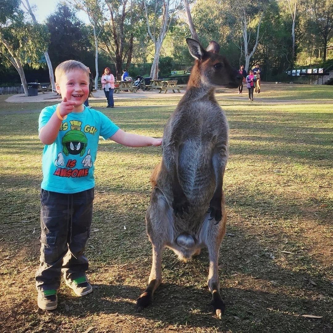 Kangaroo Kid