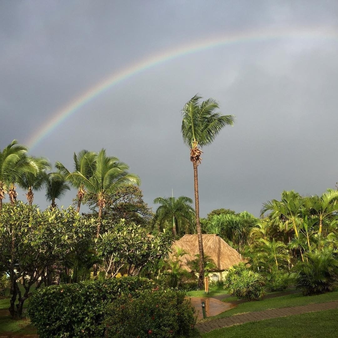 Rainbow over palm trees in Fiji