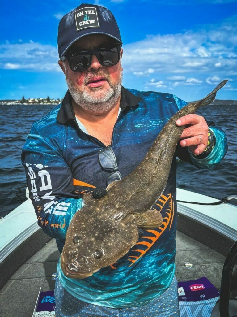 Dusky flathead