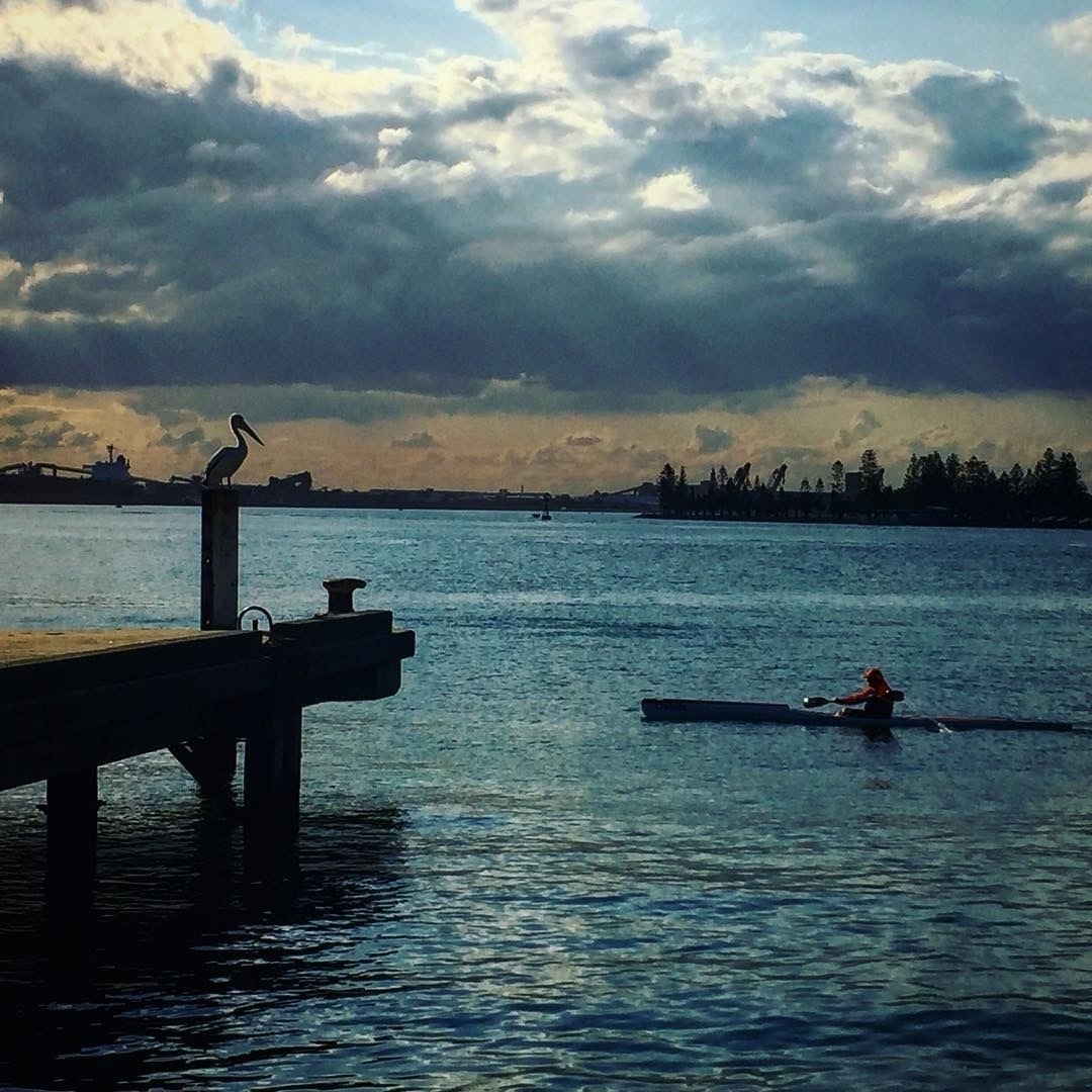 Newcastle Harbour