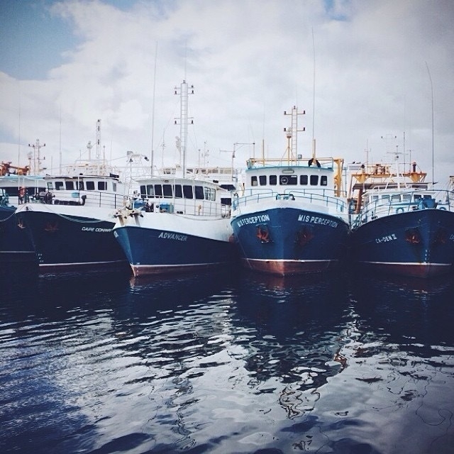 Fishing Boats in Fremantle, WA.