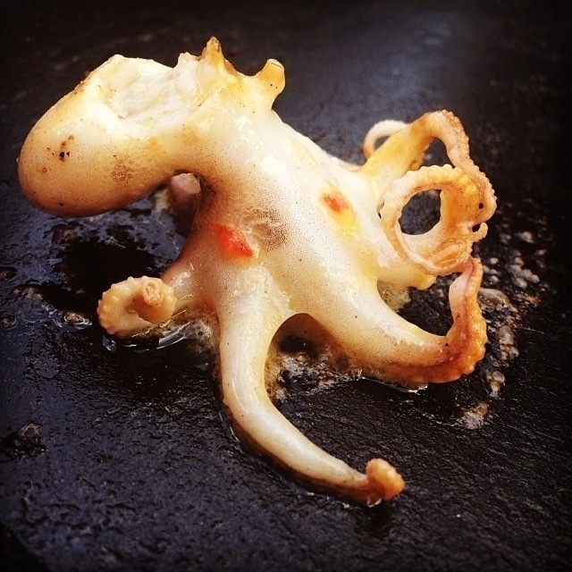 bbq baby octopus