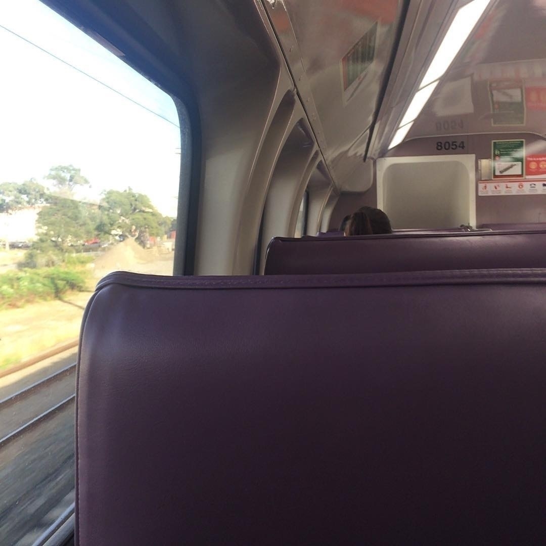 purple train seat